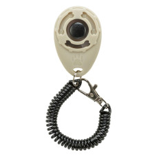 Clicker para treino